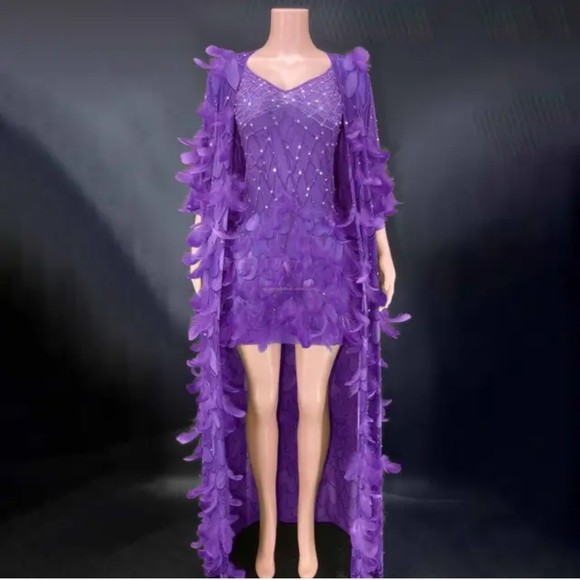 Dresses & Skirts - Purple feather mesh dress and cape